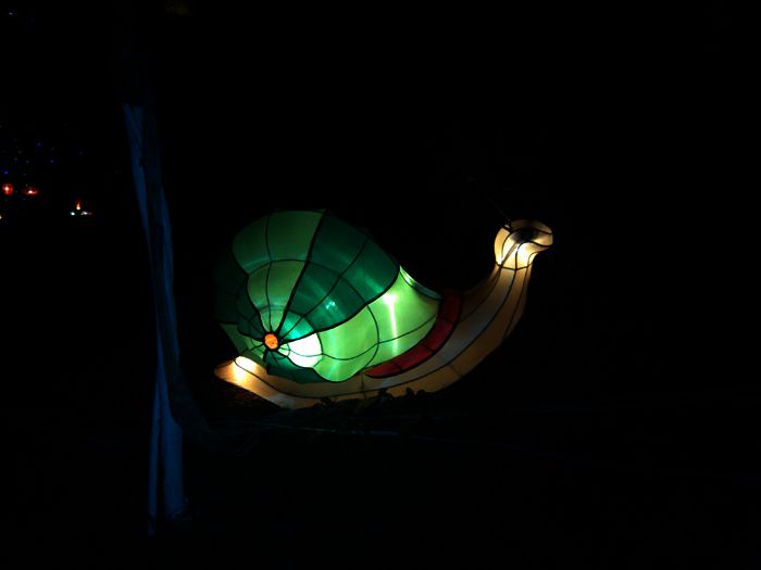 IMG_20130102_213018.jpg