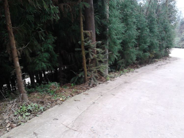 IMG_20130102_103732.jpg
