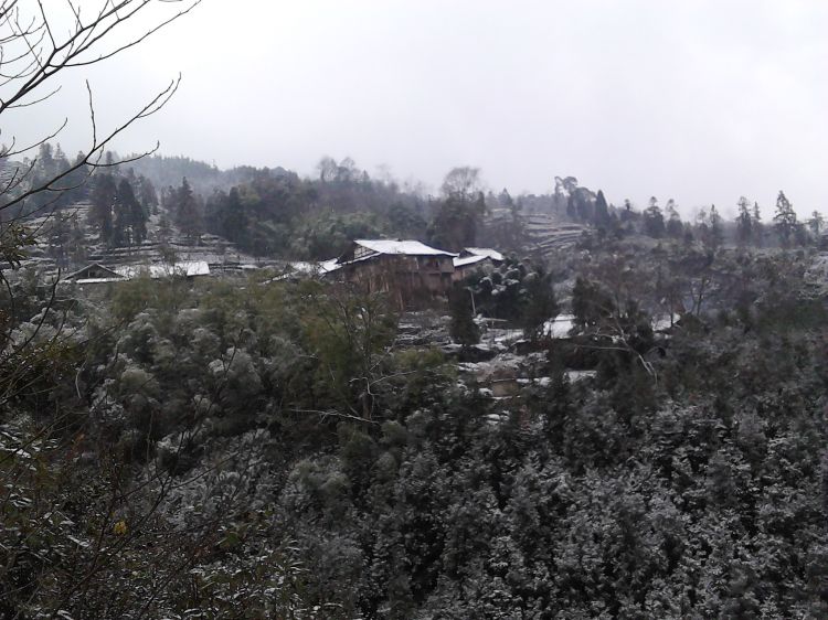 IMG_20130103_102925.jpg