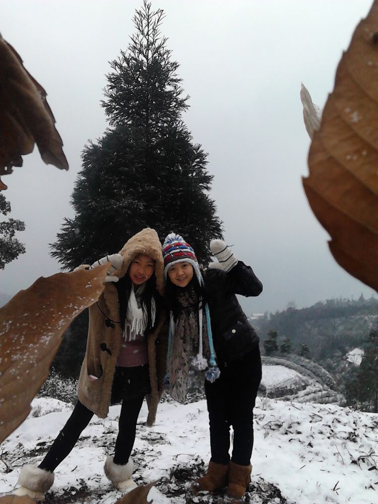IMG_20130103_110229.jpg