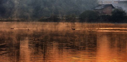 IMG_1655.jpg