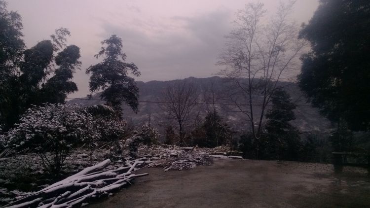 IMG_20121229_084418.jpg