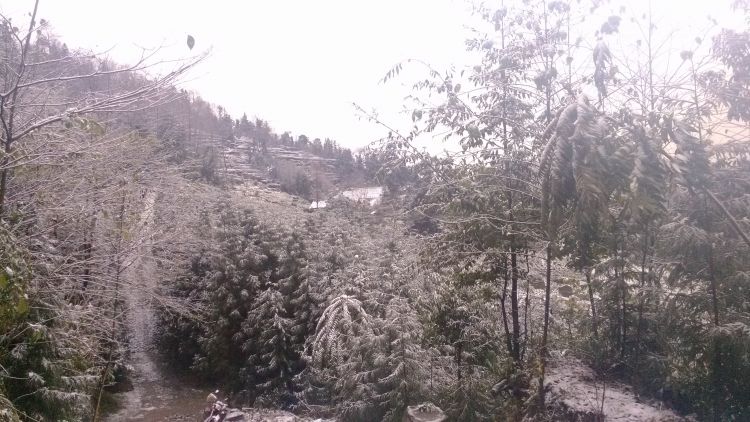 IMG_20121229_091532.jpg