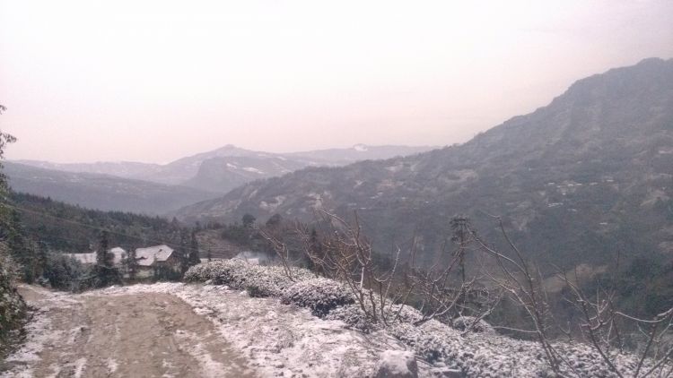 IMG_20121229_091735.jpg