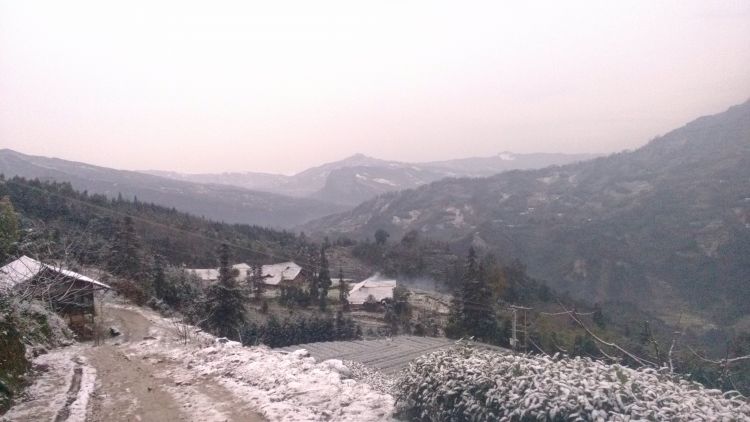 IMG_20121229_091800.jpg