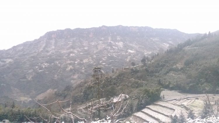 IMG_20121229_091812.jpg