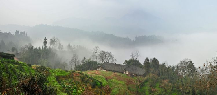 山乡晨雾.jpg