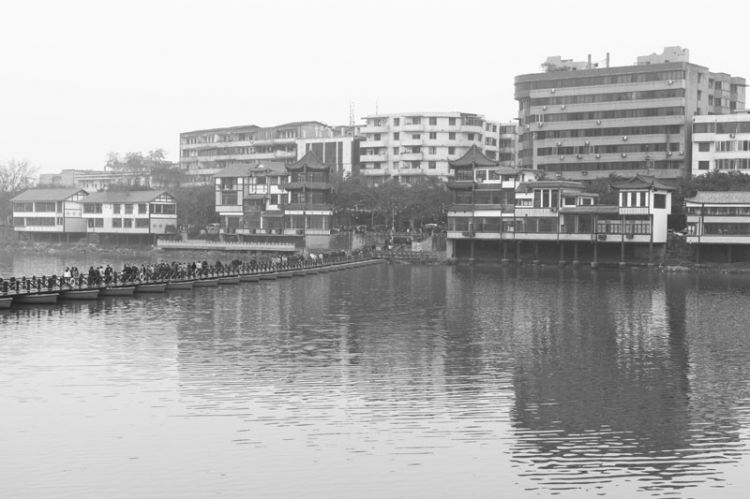 _MG_0201.JPG