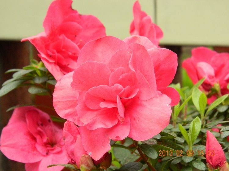 DSCN0168.JPG