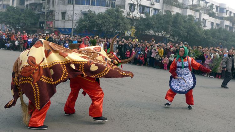 P1040749.JPG