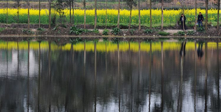 DSC_0347.jpg