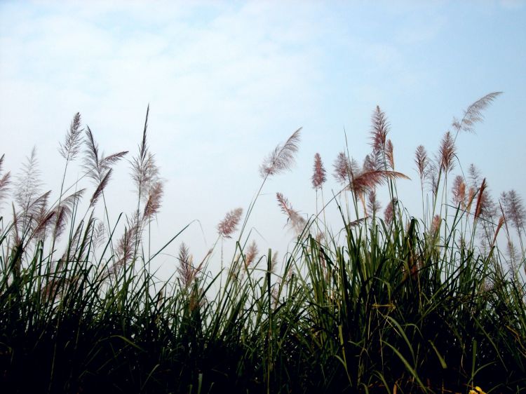 DSC00105_副本.jpg