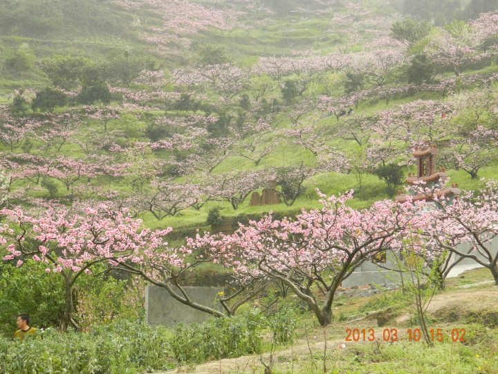 DSCN0668.jpg