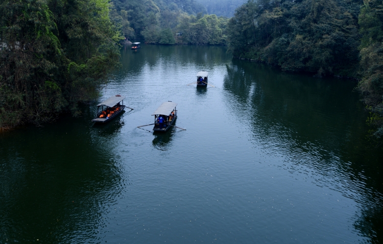 DSC_0771.jpg