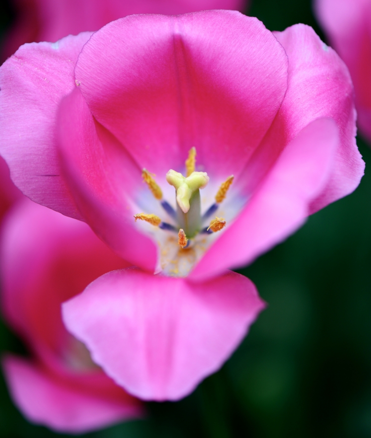 DSC_0846.jpg