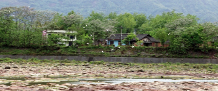 050.JPG