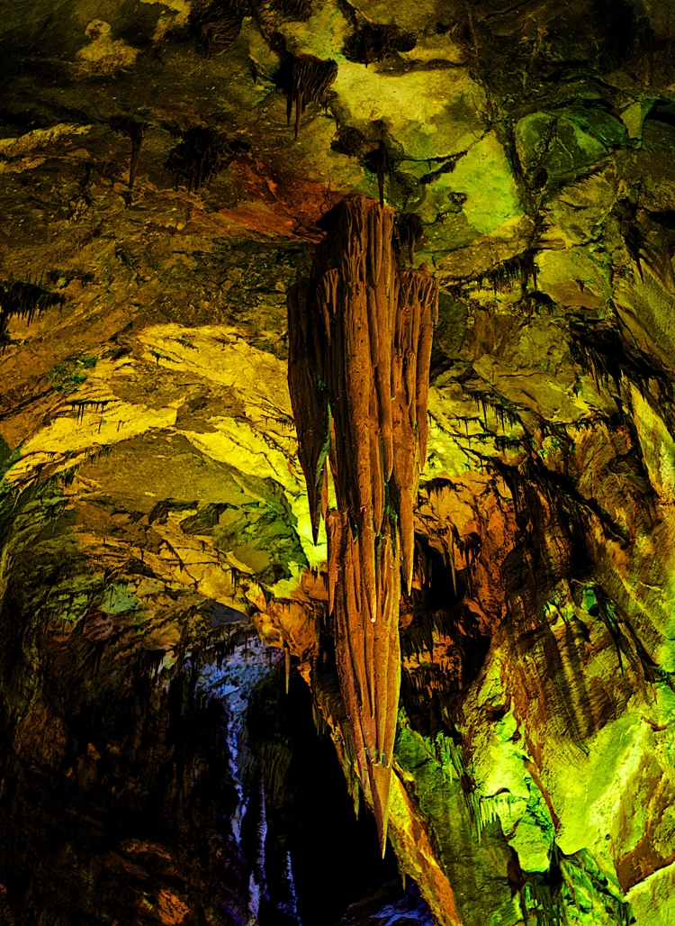 DSC_3039副本.jpg