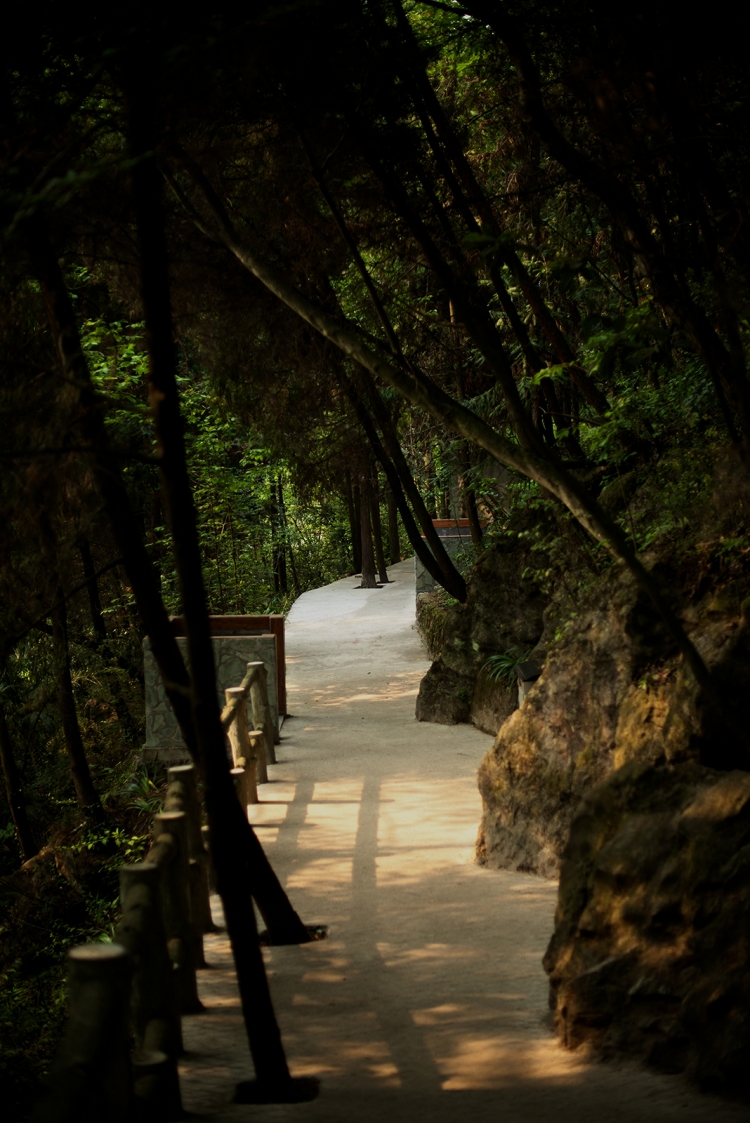 DSC_3178副本.jpg