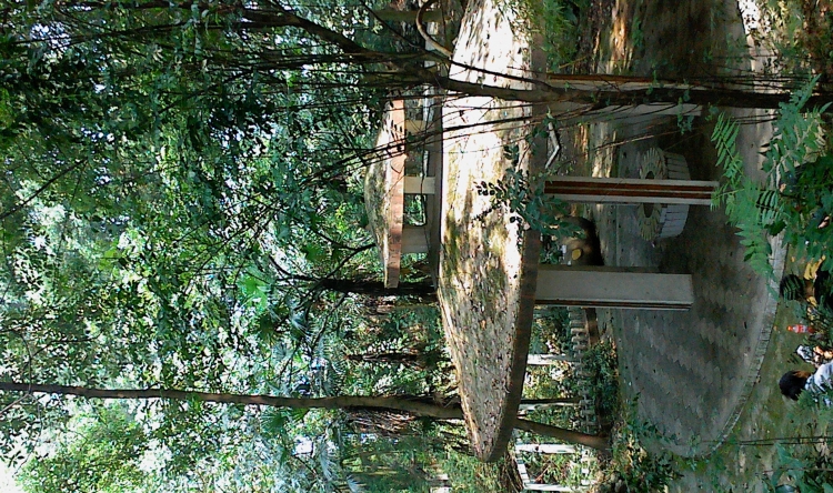 IMG0826131600.jpg