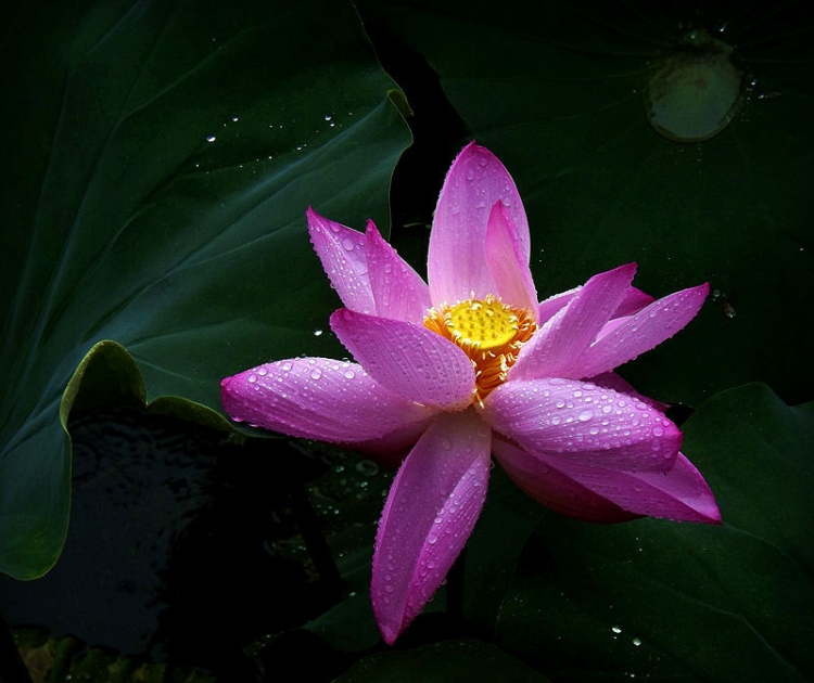 DSCF5545_副本_副本.jpg