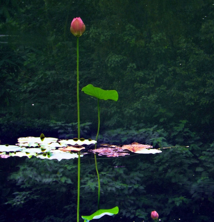 DSCF5563_副本_副本.jpg