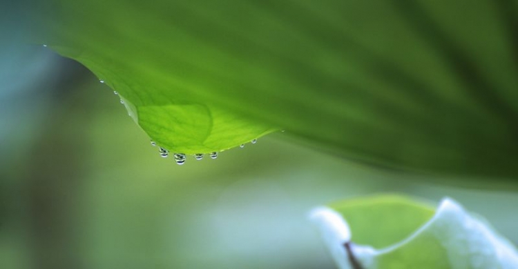 DSC_4915.jpg
