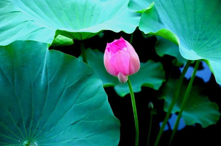 DSC_3237_调整大小.JPG