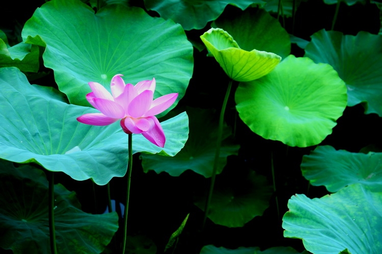 DSC_3251_调整大小.JPG