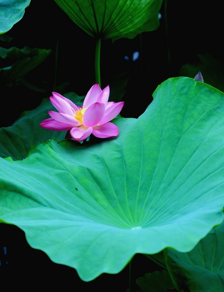DSC_3253_调整大小.JPG