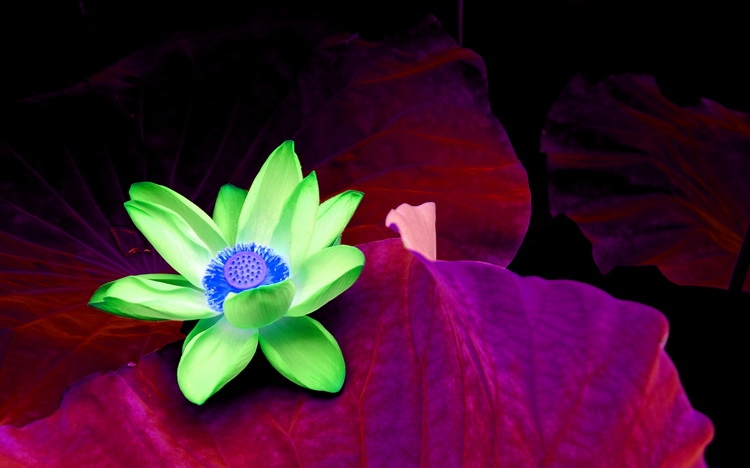DSC_3254_调整大小.JPG