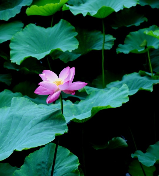 DSC_3255_调整大小.JPG