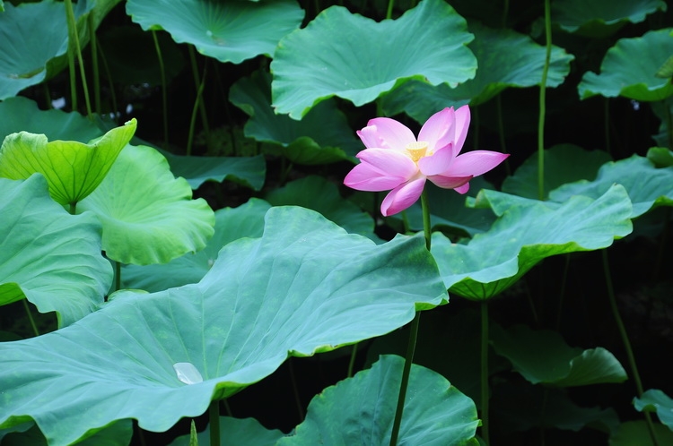 DSC_3256_调整大小.JPG