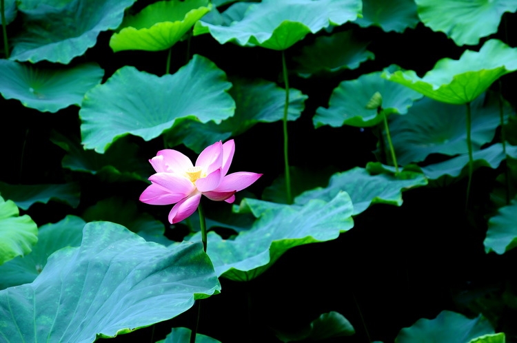 DSC_3259_调整大小.JPG