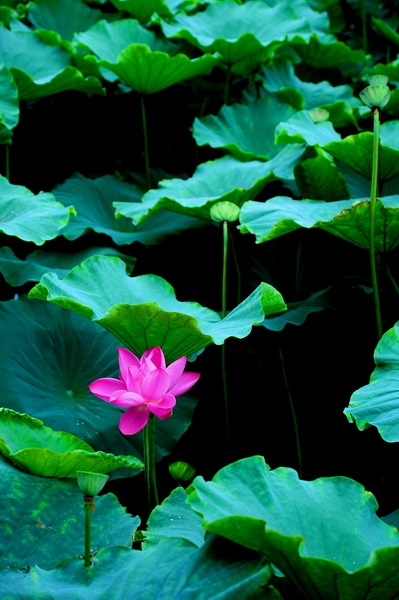 DSC_3261_调整大小.JPG