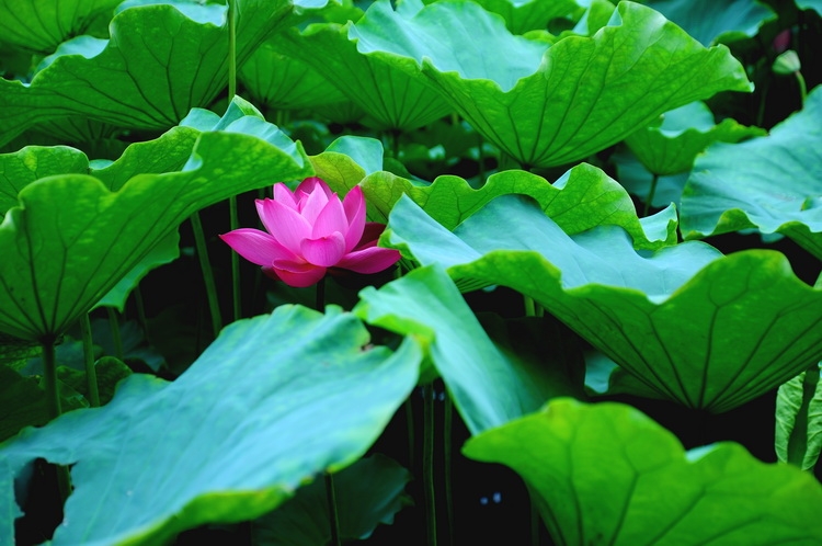DSC_3266_调整大小.JPG