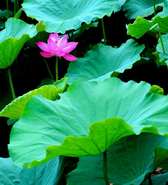 DSC_3268_调整大小.JPG