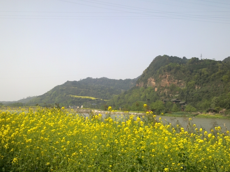20120331032.jpg