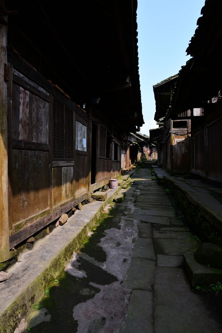 DSC_5831_副本.jpg