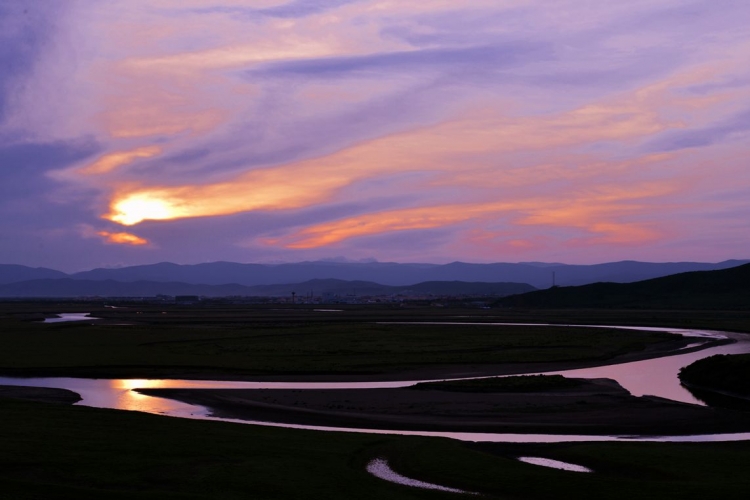DSC_2603_副本.jpg