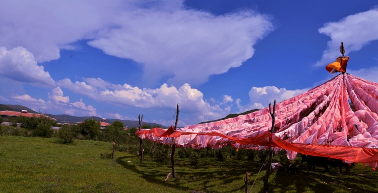 DSC_2738_副本.jpg
