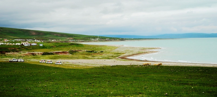 DSC_3699.JPG
