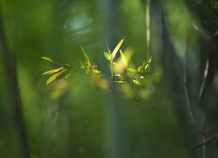 5K6A5924 副本.jpg