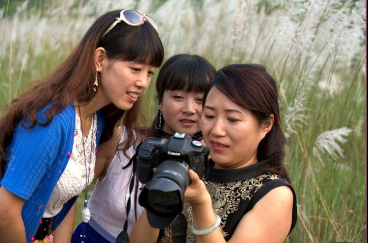 DSC_0496_副本_副本.jpg