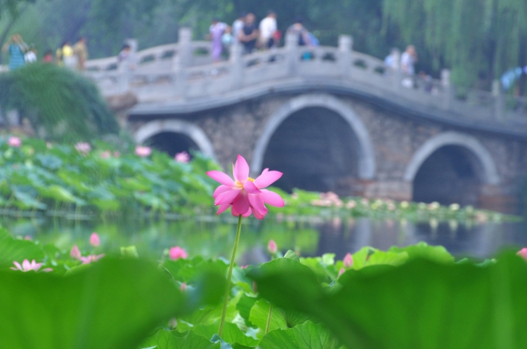 DSC_1212_副本.jpg