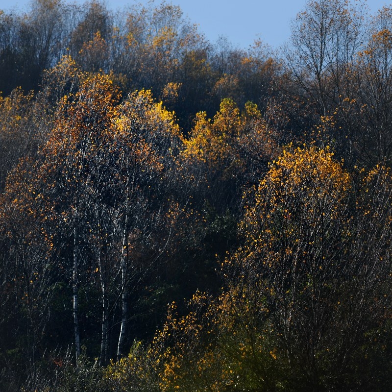 02DSC_1445.jpg