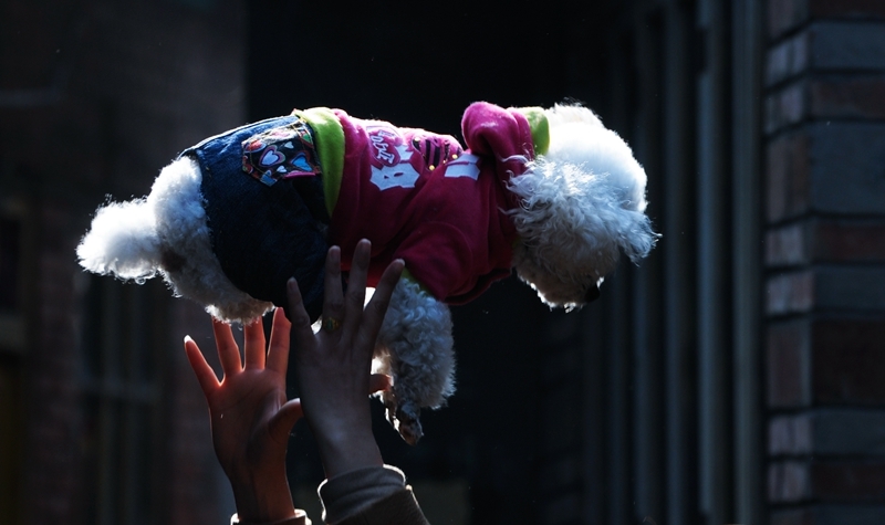 09DSC_5042.jpg