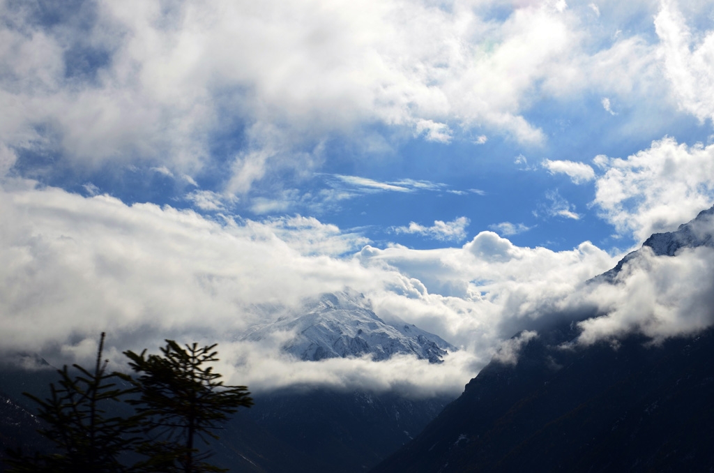 DSC_0503.JPG