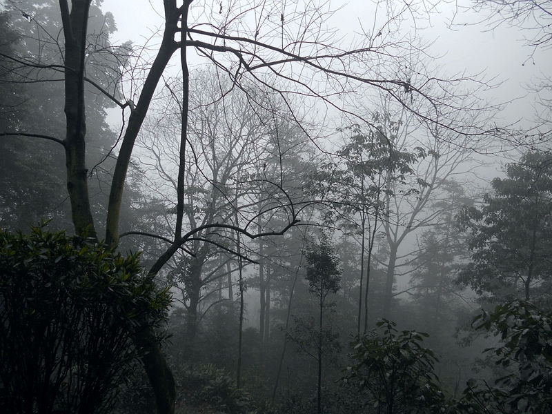 DSCN5898_副本_副本.jpg