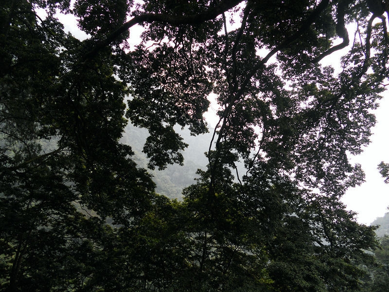 DSCN5916_副本_副本.jpg