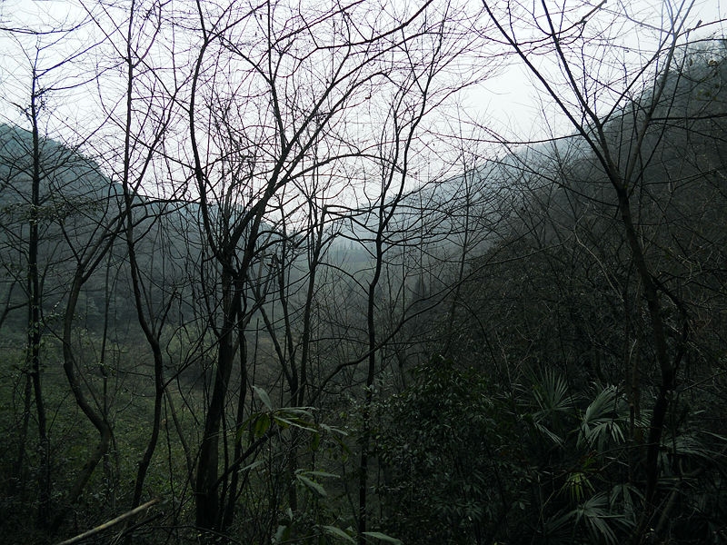 DSCN6032_副本_副本.jpg